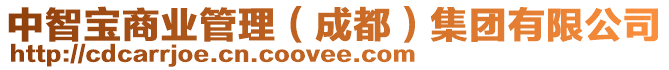 中智寶商業(yè)管理（成都）集團(tuán)有限公司