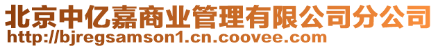 北京中億嘉商業(yè)管理有限公司分公司