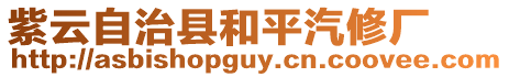 紫云自治縣和平汽修廠