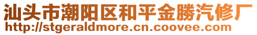 汕頭市潮陽區(qū)和平金勝汽修廠