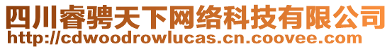 四川睿騁天下網(wǎng)絡(luò)科技有限公司