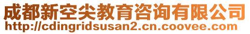 成都新空尖教育咨詢(xún)有限公司