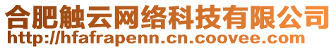 合肥觸云網(wǎng)絡(luò)科技有限公司