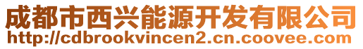 成都市西興能源開發(fā)有限公司