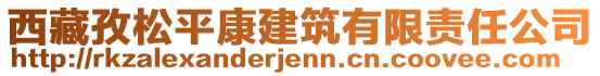 西藏孜松平康建筑有限責(zé)任公司