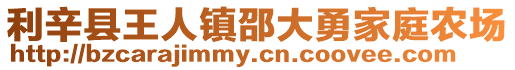 利辛縣王人鎮(zhèn)邵大勇家庭農(nóng)場