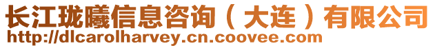 長(zhǎng)江瓏曦信息咨詢(xún)（大連）有限公司