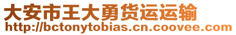 大安市王大勇貨運(yùn)運(yùn)輸