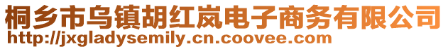 桐乡市乌镇胡红岚电子商务有限公司