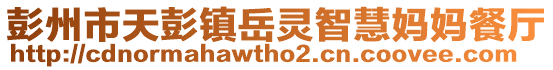 彭州市天彭鎮(zhèn)岳靈智慧媽媽餐廳
