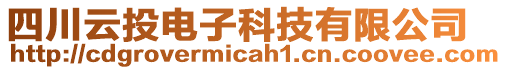 四川云投電子科技有限公司