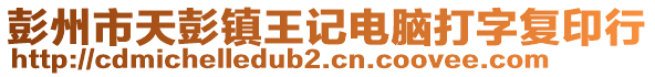 彭州市天彭鎮(zhèn)王記電腦打字復(fù)印行