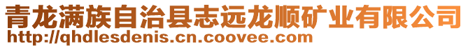 青龍滿族自治縣志遠(yuǎn)龍順礦業(yè)有限公司