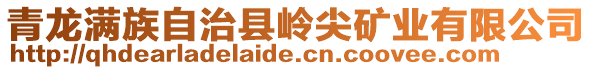 青龍滿族自治縣嶺尖礦業(yè)有限公司