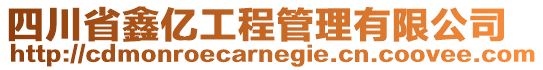 四川省鑫億工程管理有限公司