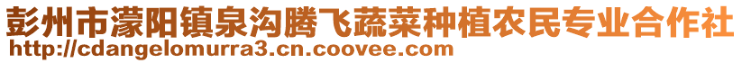 彭州市濛陽(yáng)鎮(zhèn)泉溝騰飛蔬菜種植農(nóng)民專(zhuān)業(yè)合作社