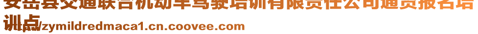 安岳縣交通聯(lián)合機動車駕駛培訓(xùn)有限責(zé)任公司通賢報名培
訓(xùn)點
