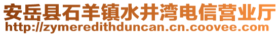 安岳縣石羊鎮(zhèn)水井灣電信營業(yè)廳