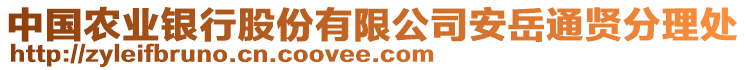 中國農(nóng)業(yè)銀行股份有限公司安岳通賢分理處