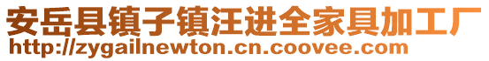 安岳县镇子镇汪进全家具加工厂