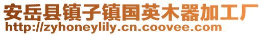 安岳縣鎮(zhèn)子鎮(zhèn)國英木器加工廠