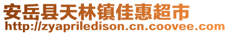 安岳县天林镇佳惠超市