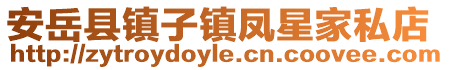 安岳县镇子镇凤星家私店