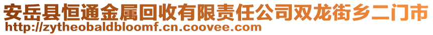 安岳縣恒通金屬回收有限責任公司雙龍街鄉(xiāng)二門市