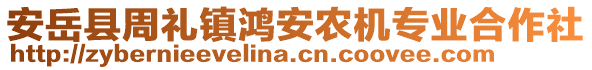 安岳縣周禮鎮(zhèn)鴻安農(nóng)機(jī)專業(yè)合作社