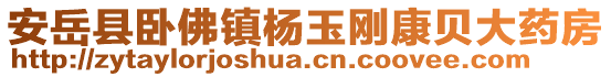 安岳縣臥佛鎮(zhèn)楊玉剛康貝大藥房