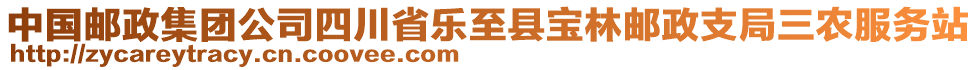 中國(guó)郵政集團(tuán)公司四川省樂(lè)至縣寶林郵政支局三農(nóng)服務(wù)站