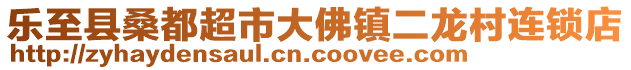 樂至縣桑都超市大佛鎮(zhèn)二龍村連鎖店