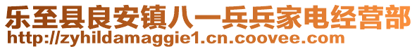 樂至縣良安鎮(zhèn)八一兵兵家電經(jīng)營部