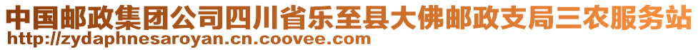 中國(guó)郵政集團(tuán)公司四川省樂(lè)至縣大佛郵政支局三農(nóng)服務(wù)站