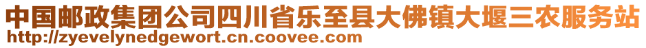 中國郵政集團(tuán)公司四川省樂至縣大佛鎮(zhèn)大堰三農(nóng)服務(wù)站