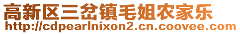 高新區(qū)三岔鎮(zhèn)毛姐農(nóng)家樂