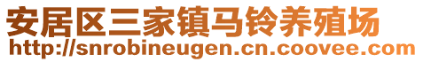 安居區(qū)三家鎮(zhèn)馬鈴養(yǎng)殖場