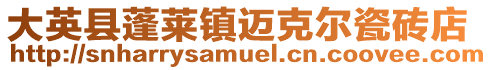 大英縣蓬萊鎮邁克爾瓷磚店