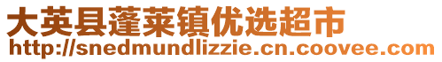 大英县蓬莱镇优选超市