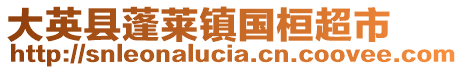 大英縣蓬萊鎮(zhèn)國桓超市