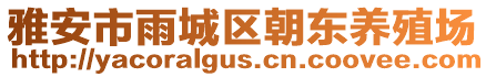 雅安市雨城區(qū)朝東養(yǎng)殖場