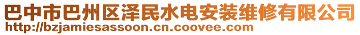 巴中市巴州區(qū)澤民水電安裝維修有限公司