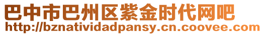 巴中市巴州區(qū)紫金時(shí)代網(wǎng)吧