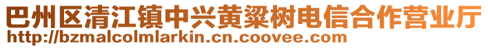 巴州區(qū)清江鎮(zhèn)中興黃粱樹(shù)電信合作營(yíng)業(yè)廳