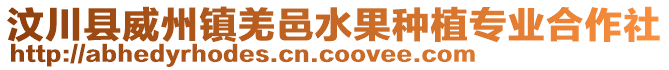 汶川縣威州鎮(zhèn)羌邑水果種植專業(yè)合作社