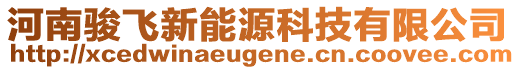 河南駿飛新能源科技有限公司