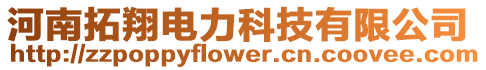 河南拓翔電力科技有限公司