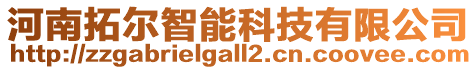 河南拓爾智能科技有限公司