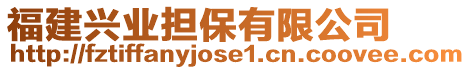 福建興業(yè)擔(dān)保有限公司