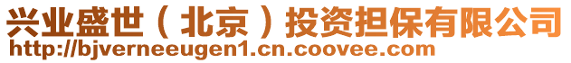 興業(yè)盛世（北京）投資擔(dān)保有限公司